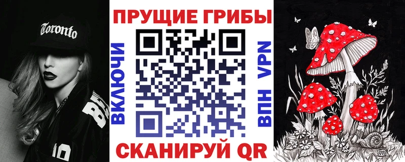 это официальный сайт Питкяранта Псилоцибиновые грибы мухоморы