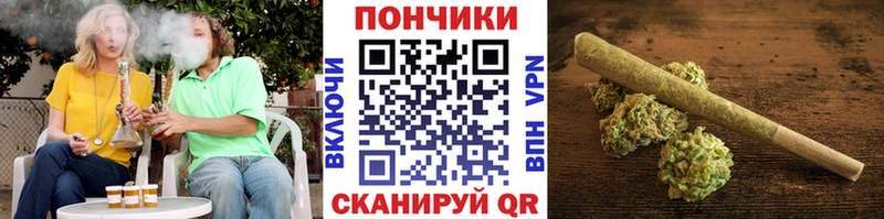 гидра маркетплейс  Питкяранта  Канабис SATIVA & INDICA 